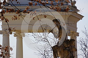 Tree branches with ancien statue. flute. Architectural background.
