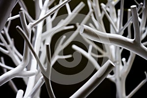 Tree branches,black background