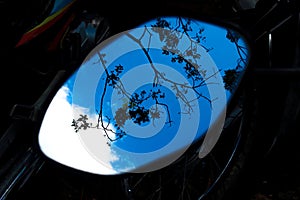 Tree branches, blue sky, and clouds reflect in the rearview mirror