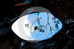 Tree branches, blue sky, and clouds reflect in the rearview mirror