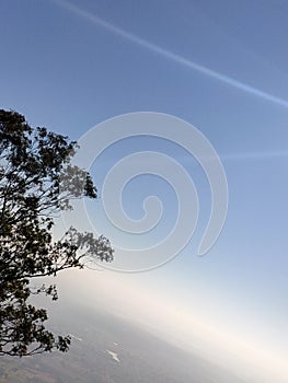 Tree branches, blue sky and sun rays