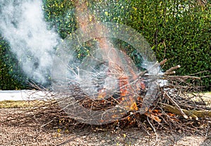 Tree branches burning