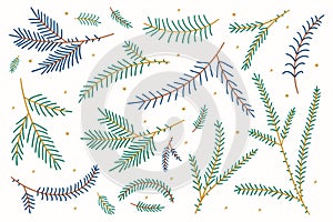 Tree branches. Christmas Fir Branches. Needle green spruce branches. Vector illustration in flat style isolated on white