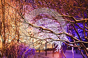 Tree branches covered with bright Christmas lights. Winter city park. Christmas background. Street illumination.