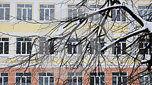 Tree branches covered with snow.