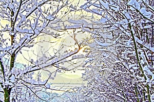 Tree branches covered in white snow