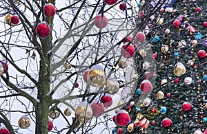 Tree branches decorated with gold and red balls on the background of a large Christmas tree