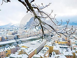 Tree branches in the foreground with salzburg cityscape river and fortress