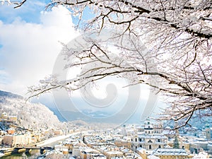 Tree branches in the foreground with salzburg cityscape river and fortress