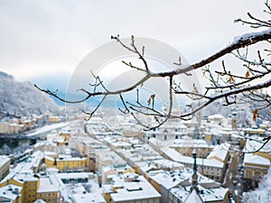 Tree branches in the foreground with salzburg cityscape river and fortress