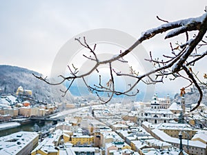 Tree branches in the foreground with salzburg cityscape river and fortress