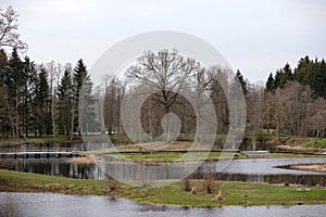 A tree without branches in the middle of an island surrounded by water on all sides