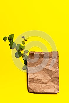 Tree branches and recycled paper bag on yellow