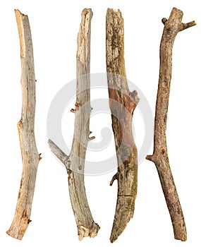Tree branches set
