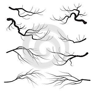 Tree Branches Silhouette Set