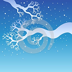 Tree branches with snowy sky