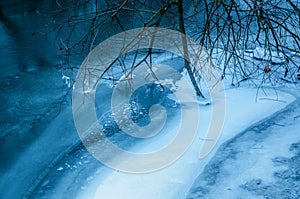 Tree brancy frozen into a river