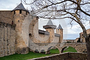 A tree by the bridge and entrance of the citadel of the CitÃ© de Carcassonne, fortified city of Carcassonne, Aude, France