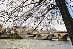 Tree and bridge over the Seine River in Paris, France
