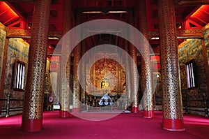 Tree buddhism Wat pha-singha Chaingmai