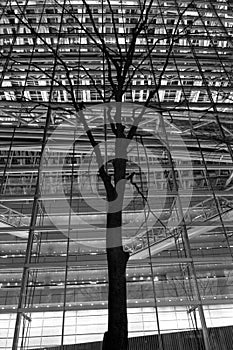 Tree and building illumination