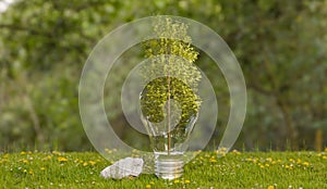tree in bulb on grass filed, environment frieldly concept photo