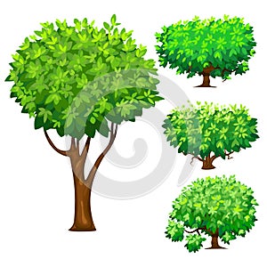 Tree and bushes. Flat illustrations with wood and shrubs. Forest trees. Vector illustration