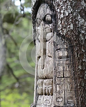 Tree carved by native Tlingit indians photo