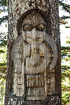 Tree carved on top of Mt. Roberts in Juneau