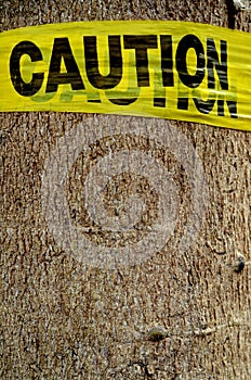 Tree Caution Sign