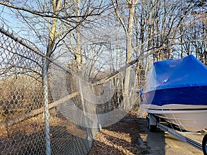 Tree On Chain Link Fence By Powerboat