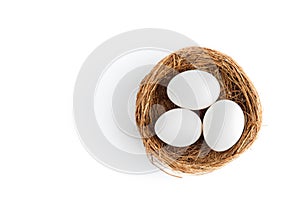 Tree chicken white eggs lie in the nest