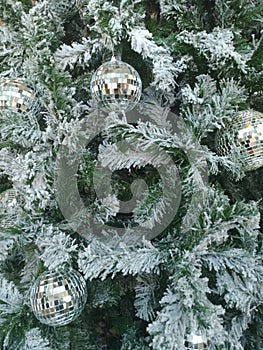 Tree Christmas forst snow winter display crystalball reflection background