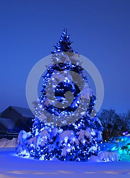 Tree with Christmas Lights in Blue