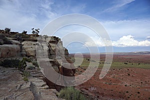 Tree on cliff on the San Rafael Swell