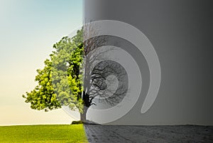 Un árbol clima o estación 