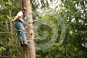 Tree climber and logger photo