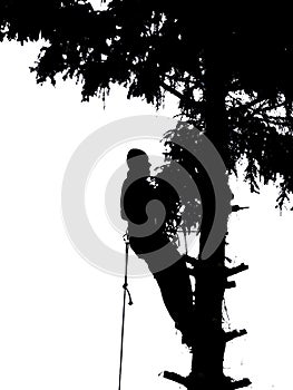 Tree climber at works silhouette