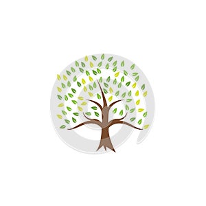 Tree clip art graphic design template vector isolated
