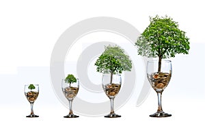 Tree Coin glass Isolate increase saving money hand Coin tree The tree grows on the pile. Saving money for the future. Investment I