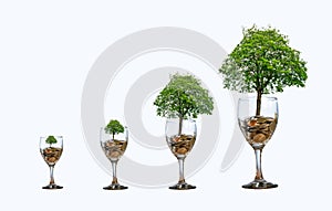 Tree Coin glass Isolate increase saving money hand Coin tree The tree grows on the pile. Saving money for the future. Investment I