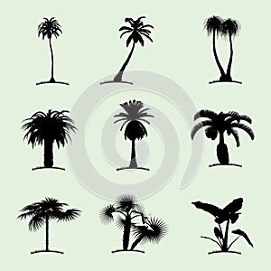 Tree Collection Flat Icon vector design illustration
