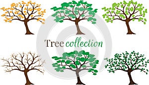 Tree Collection Vector isolated on white background, Set with six trees in different weather seasons. Label, logo, symbol