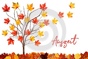 Tree With Colorful Leaf Decoration, Leaves Flying Away, Auszeit Means Downtime