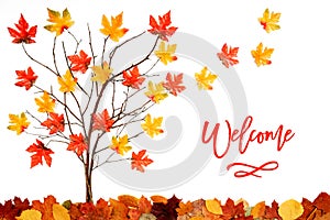 Tree With Colorful Leaf Decoration, Leaves Flying Away, Text Welcome