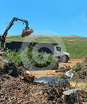 A tree company dump truck at landfill. Copy Space.