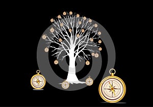 Tree with compasses photo