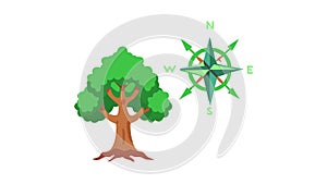 Tree with Compass Rose Symbol Direction in Nature, vector design Generative AI
