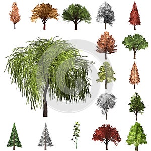 Tree correction design set. 3D Illustration. White background isolate. Nature and Gardens design