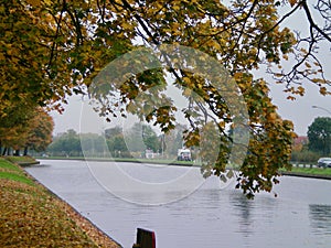 A tree covered with autumnal leaves overhangs a river which flows beside a road.